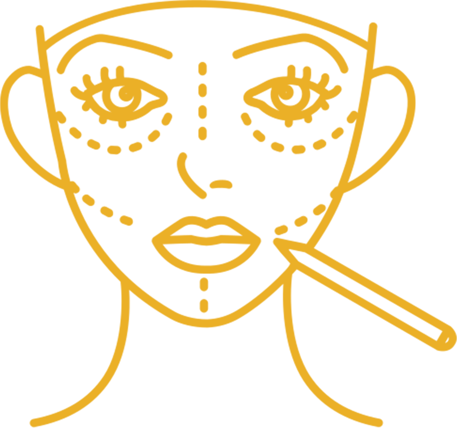 Facial Plastic Surgery